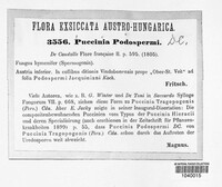 Puccinia podospermi image